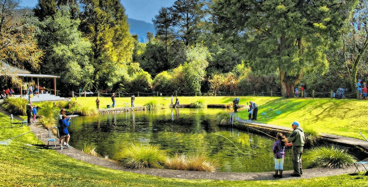 Tongariro-National-Trout-Centre
