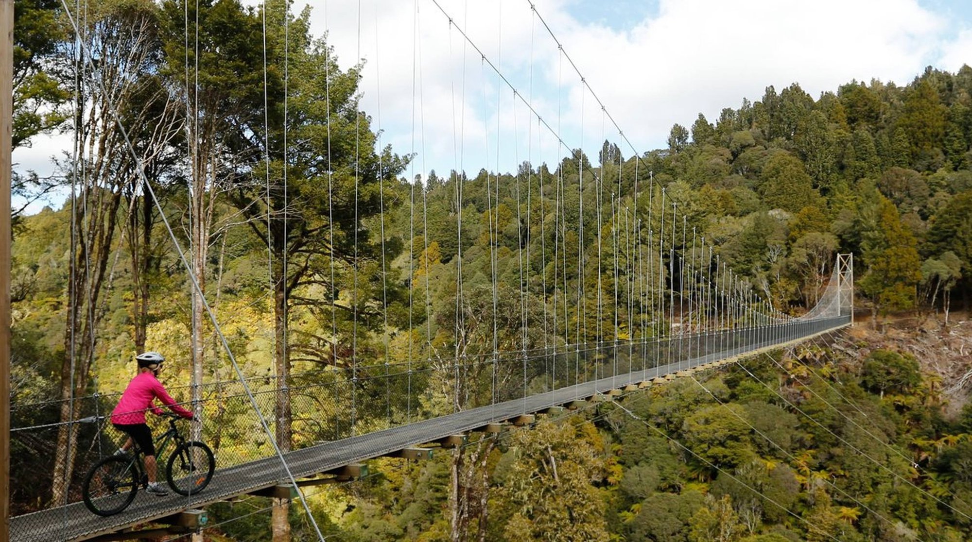 2504_img_taupo_region_mangakino_biking_rider_cross_timber_trail_suspended_bridge_family_freindly_activite_large_2580x1440
