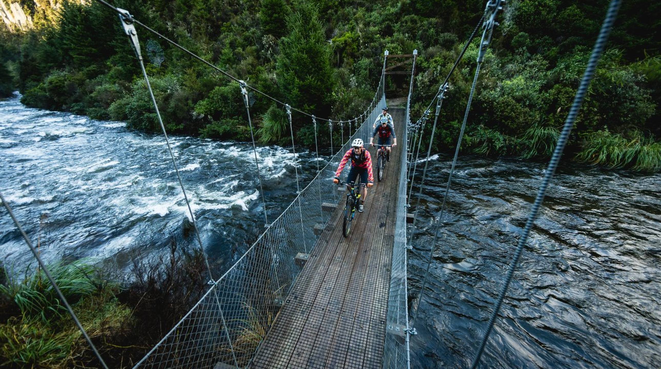 The Waihaha River Bridge, Waihaha Section of the Great Lake Trails