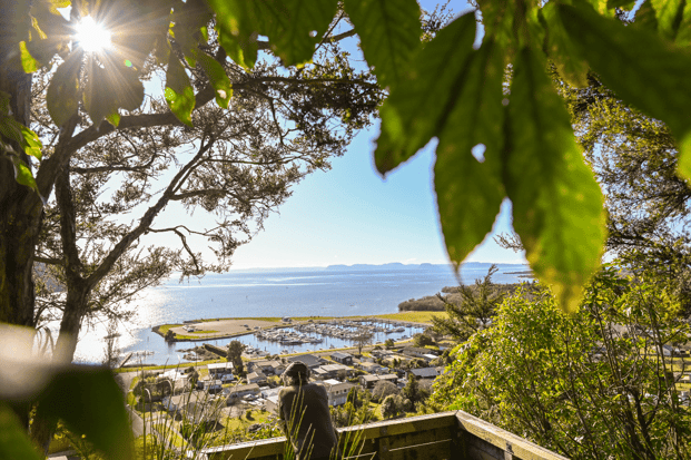 2504_img_motuapa_motuapa_cliff_scenic_walk_motuoapa cliff_lookout_walk_kid_looking_at_view-1