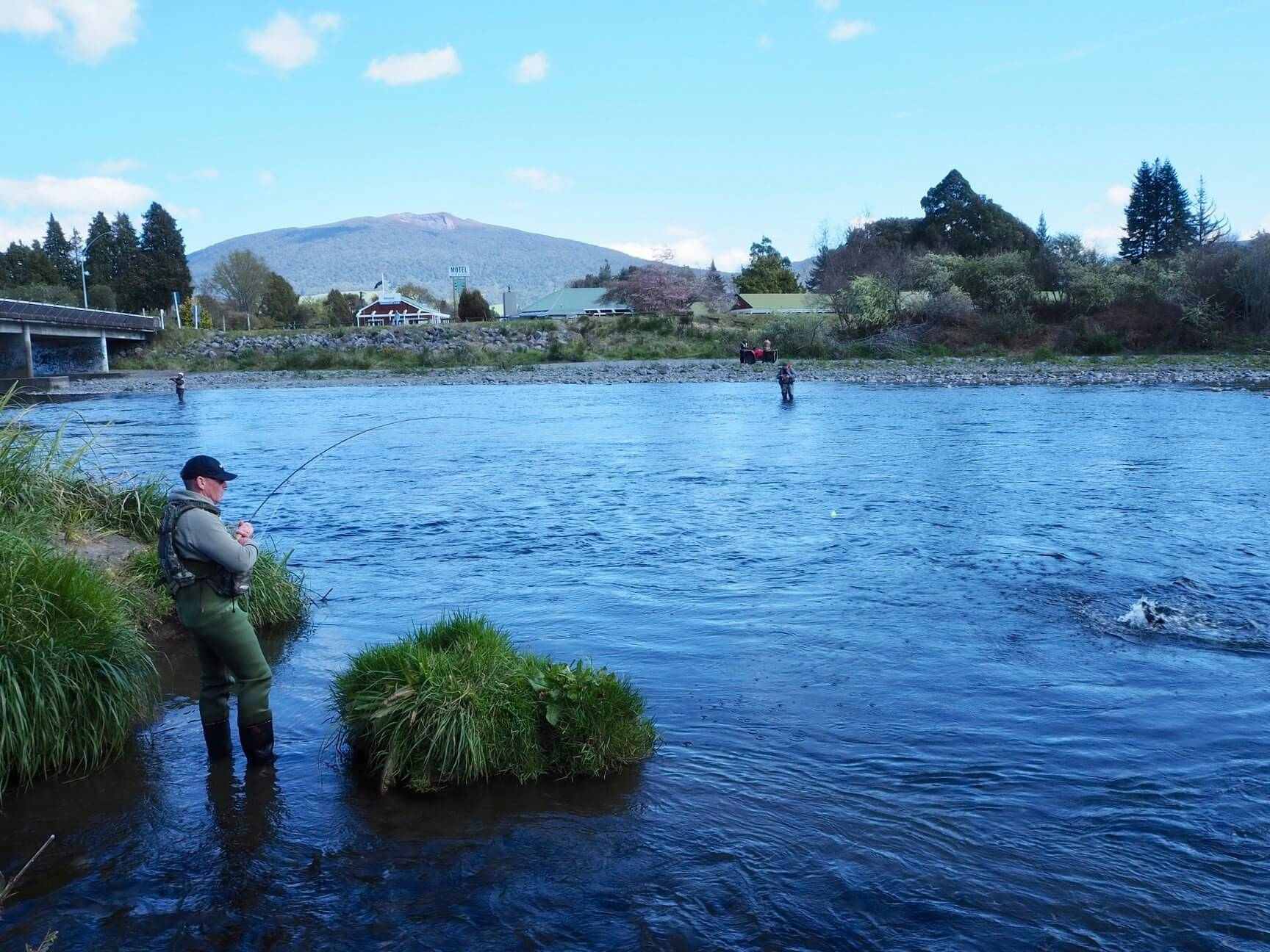 2504_img_turangi_tongariro_river_bridge_fishing_man_with_trout_caught_river_side