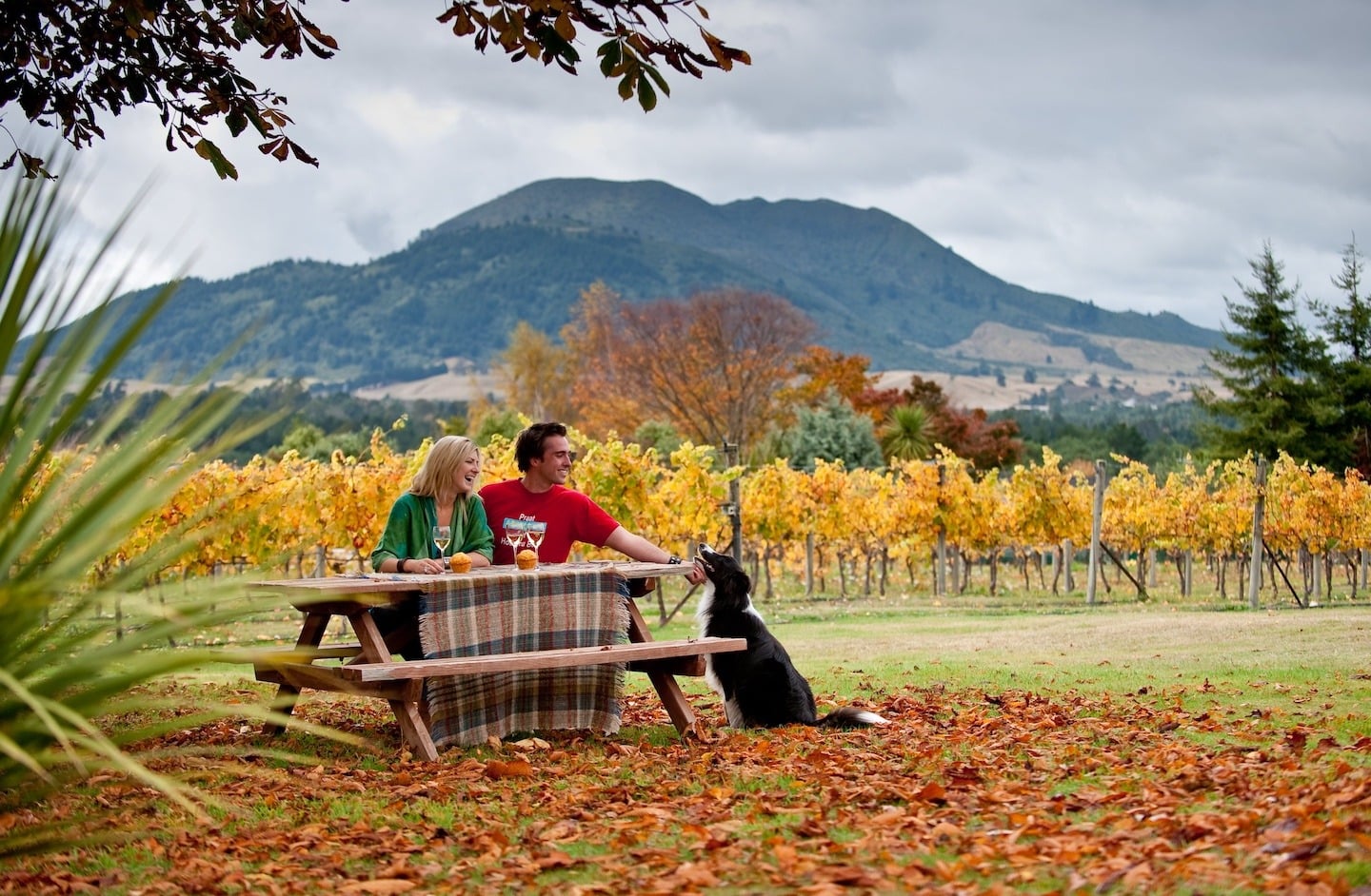 Dog friendly autumn walks in Taupō