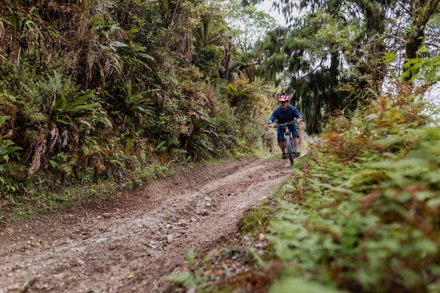 E-bike tours in the Taupo region