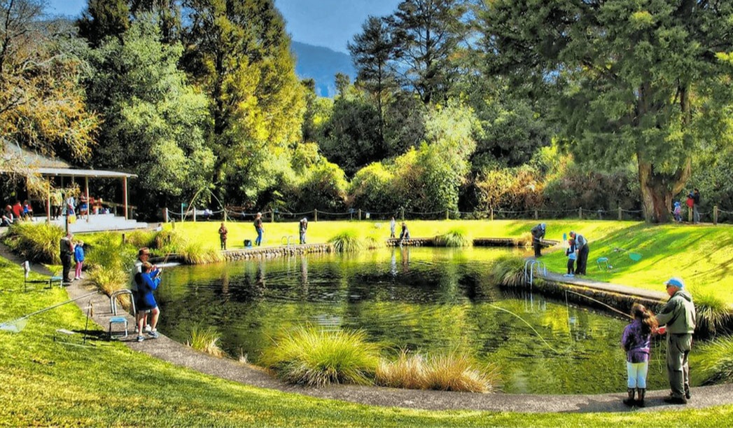 Tongariro-National-Trout-Centre