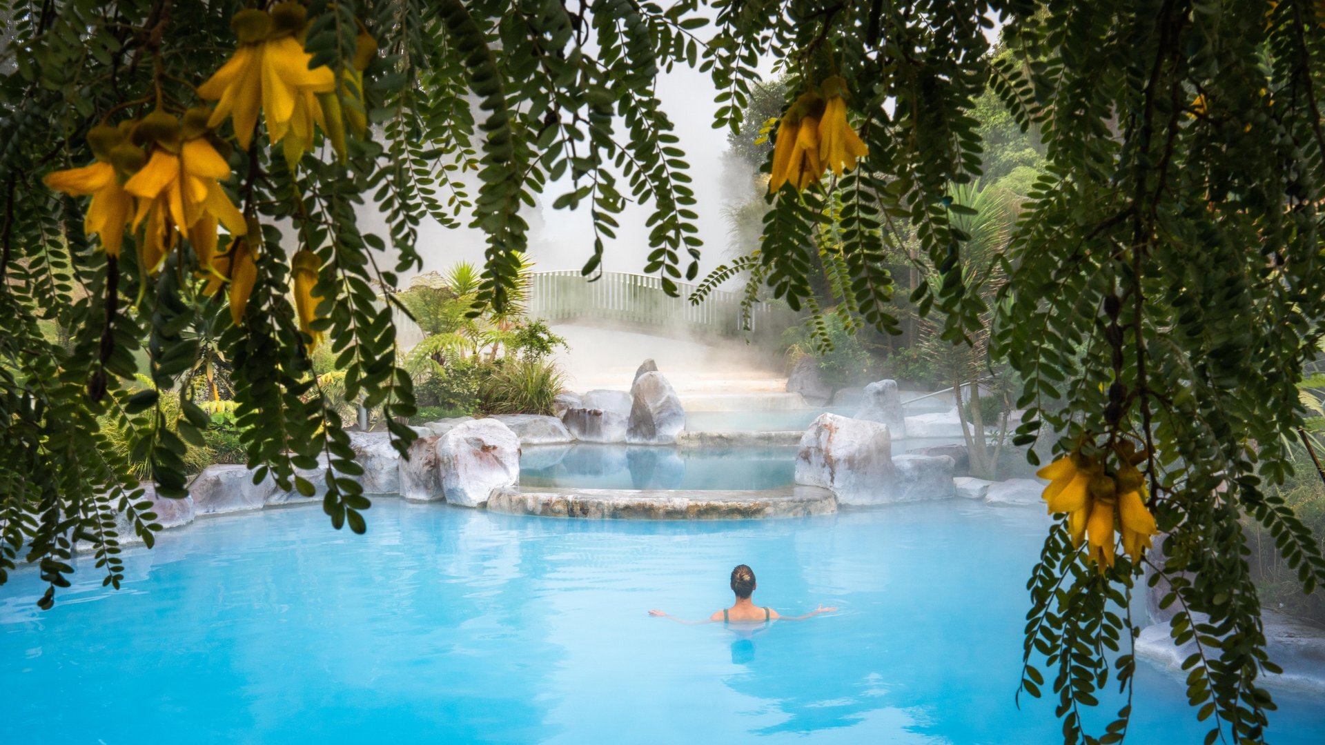 Wairakei-Terraces-Kowhai-spring-hotpools-adults
