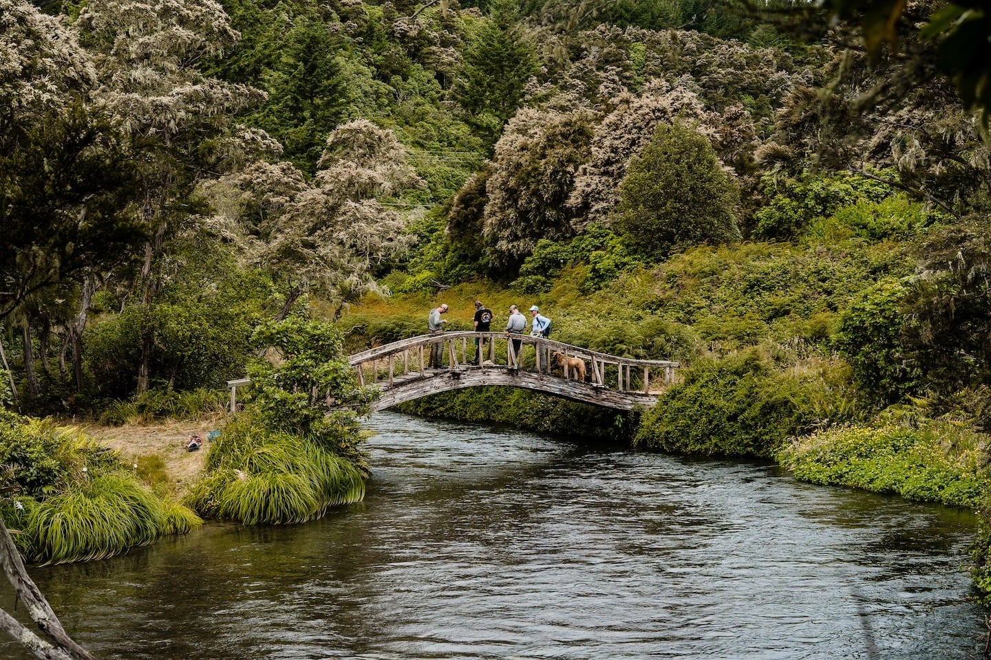 10 best Taupō autumn hikes