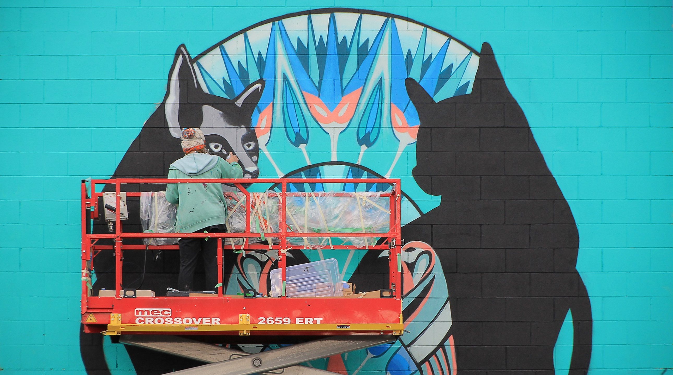2504_img_taupo_town_graffiato_art_culture_street_art_festival_cat_mural_scissor_scafhold_large_2580x1440