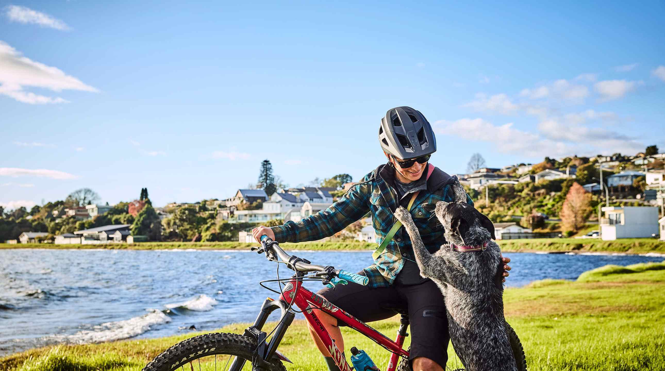 2505_img_taupo_town_great_lake_pathway_biking_cyclist_on_bike_with_dog_supervolcanic_todd_eyre_large_2580x1440