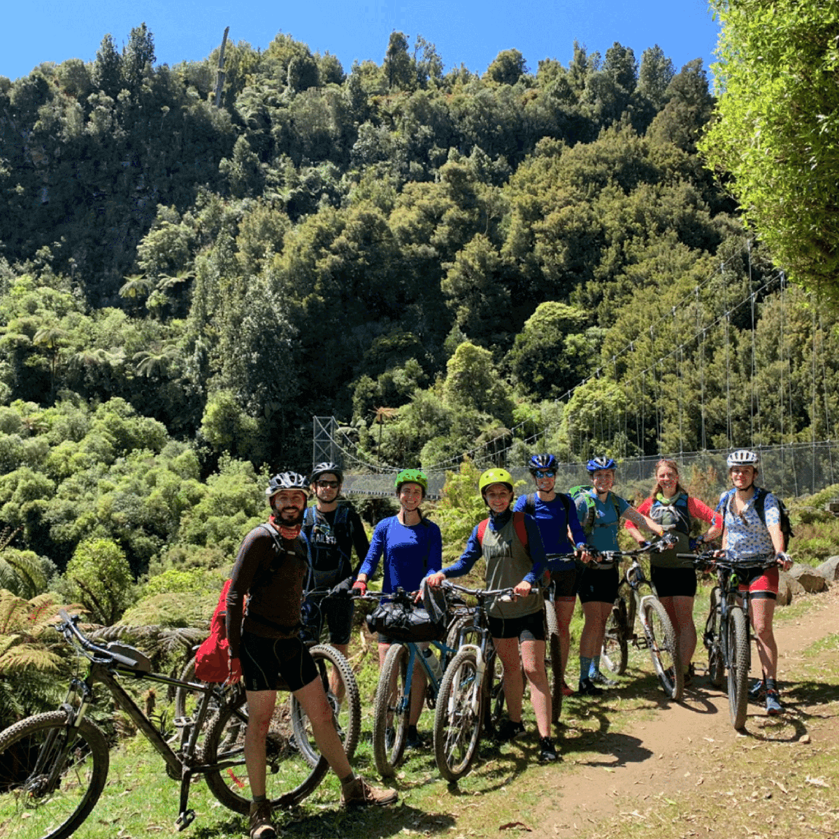 2504_img_pueora_forest_park_timber_trail_group_of_friends_mountain_biking