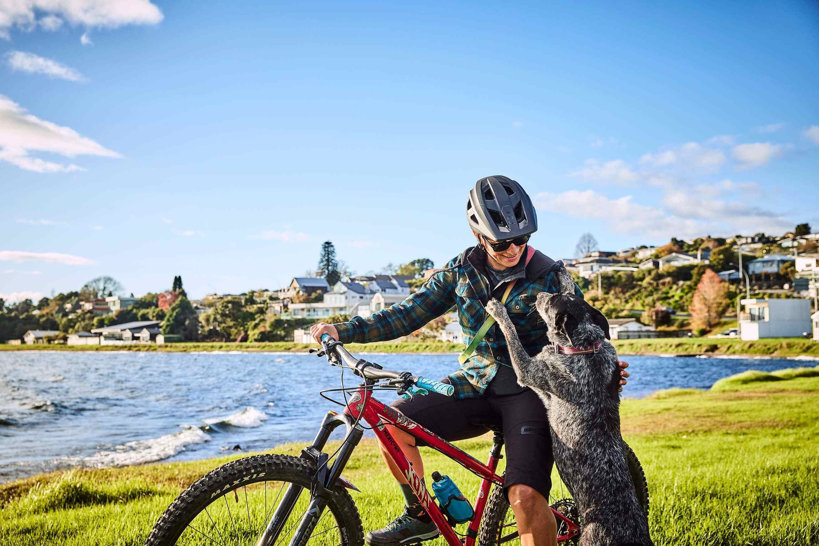 2505_img_taupo_town_great_lake_pathway_biking_cyclist_on_bike_with_dog_supervolcanic_todd_eyre