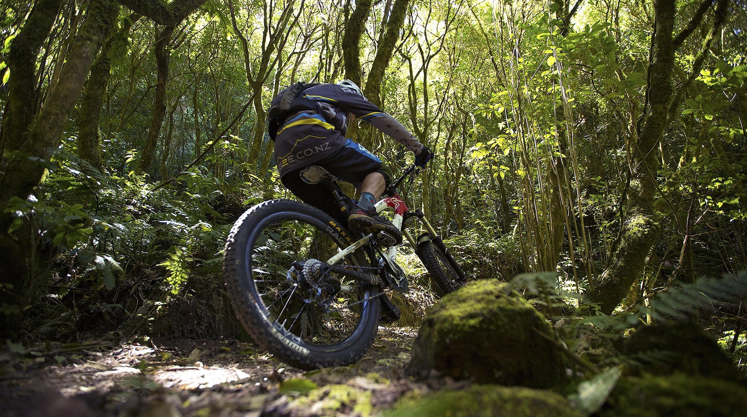 tree-trunk-gorge-mountain-bike-trail-bush