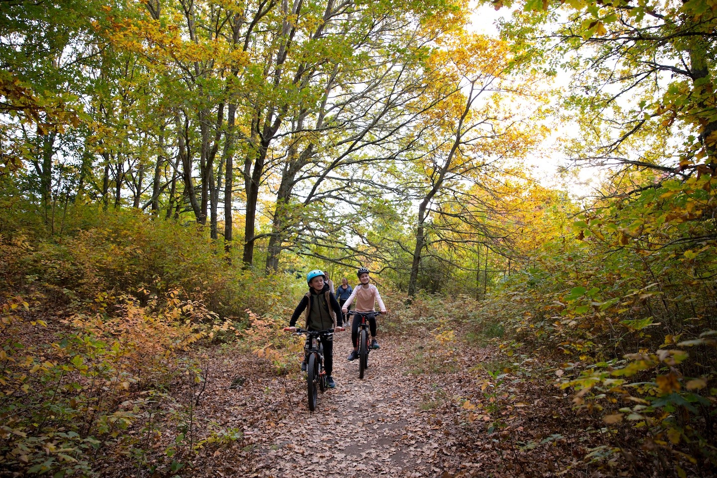 Family-friendly bike trails