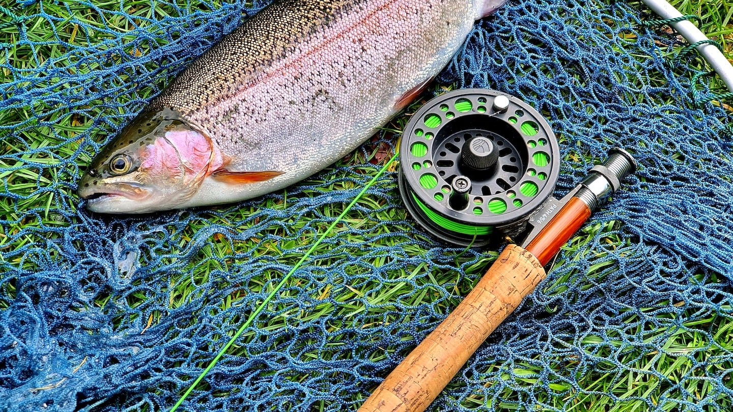 Eight of our favourite Taupo Fishery spots and where to catch the big one