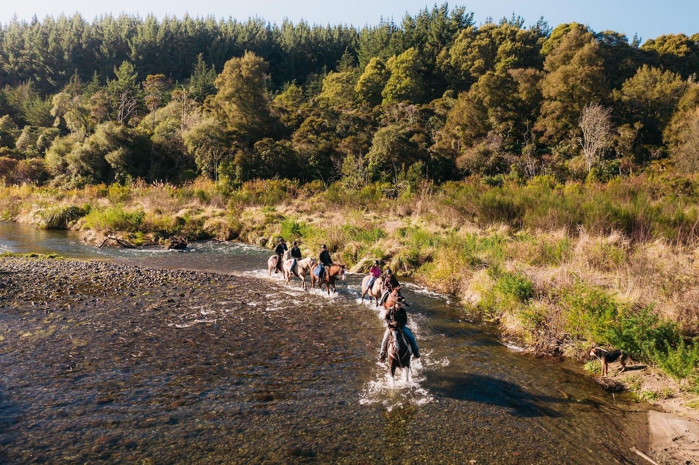 Saddle up with Korohe Horse Treks: a family adventure